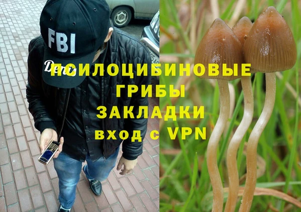 мдпв Пролетарск