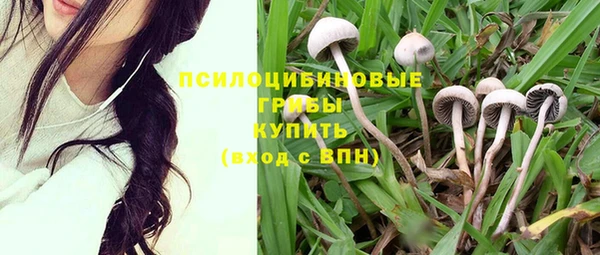 мдпв Пролетарск