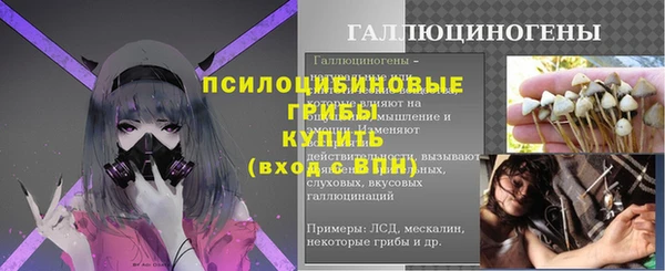 мдпв Пролетарск