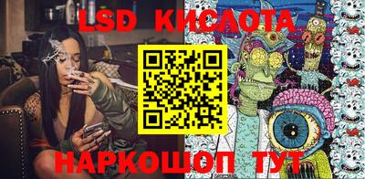 МДПВ Кингисепп