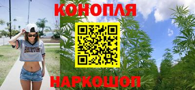 МДПВ Кингисепп