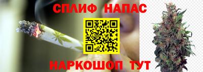СК Кинель
