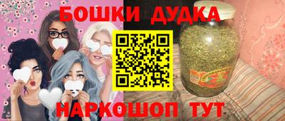 МДПВ Кингисепп