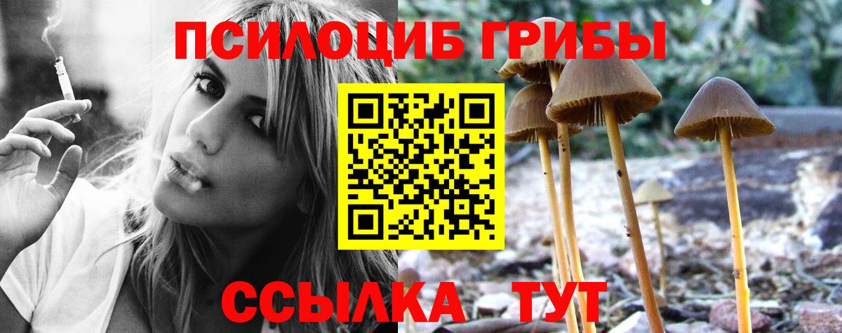 купить наркотик  Вход с VPN  Краснодар  Галлюциногенные грибы MAGIC MUSHROOMS 